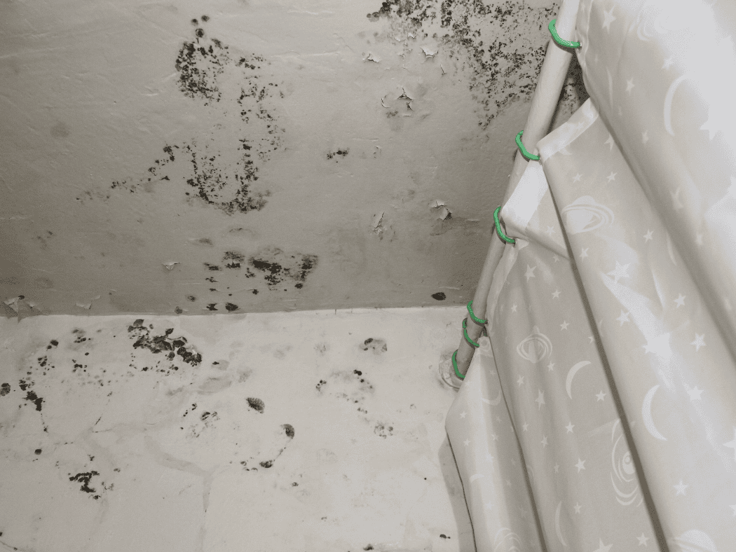 water damage restoration In Florida