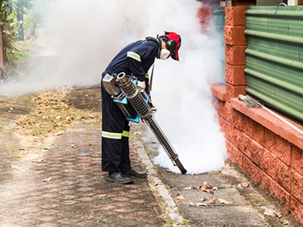 Thermal fogging services